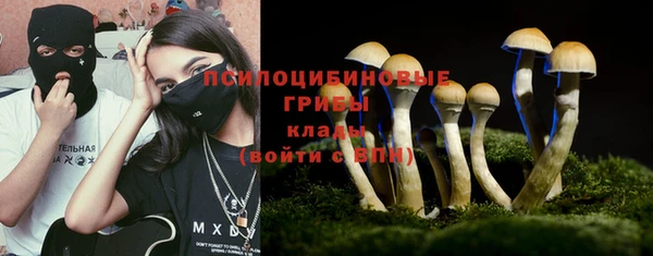 ALPHA PVP Алзамай