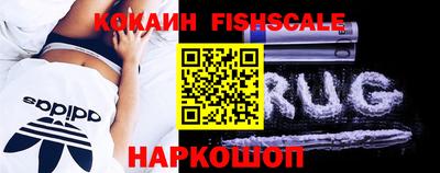 дживик Можга