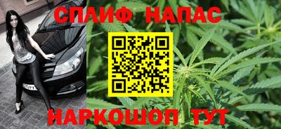 дживик Можга