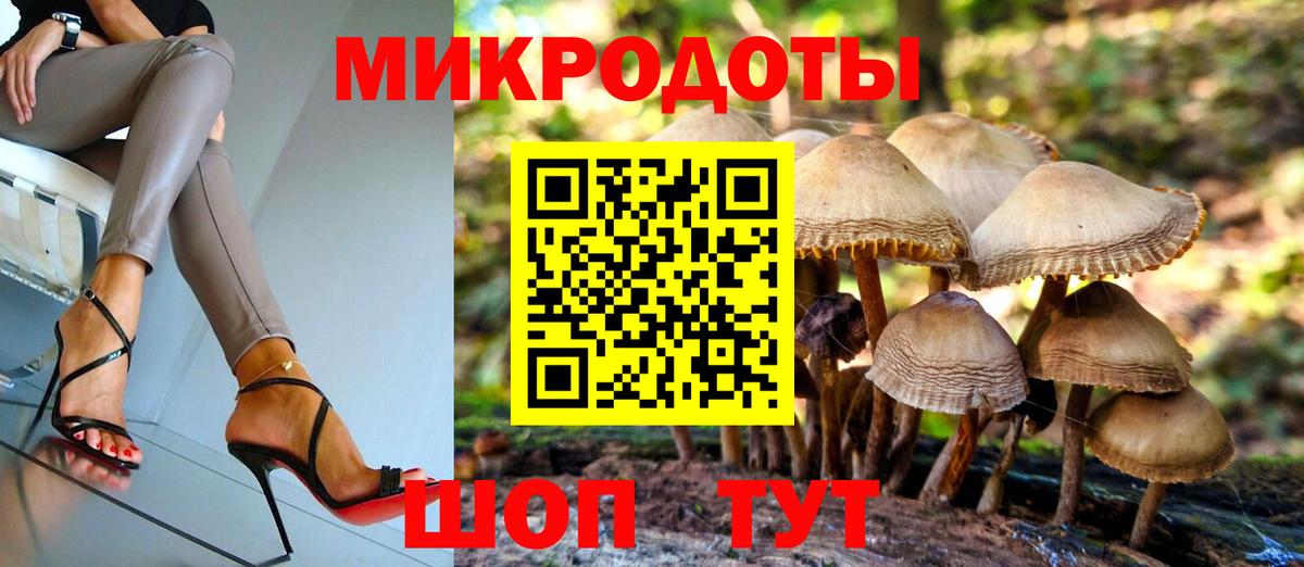 Псилоцибиновые грибы Psilocybine cubensis  Вход с VPN  Обнинск 